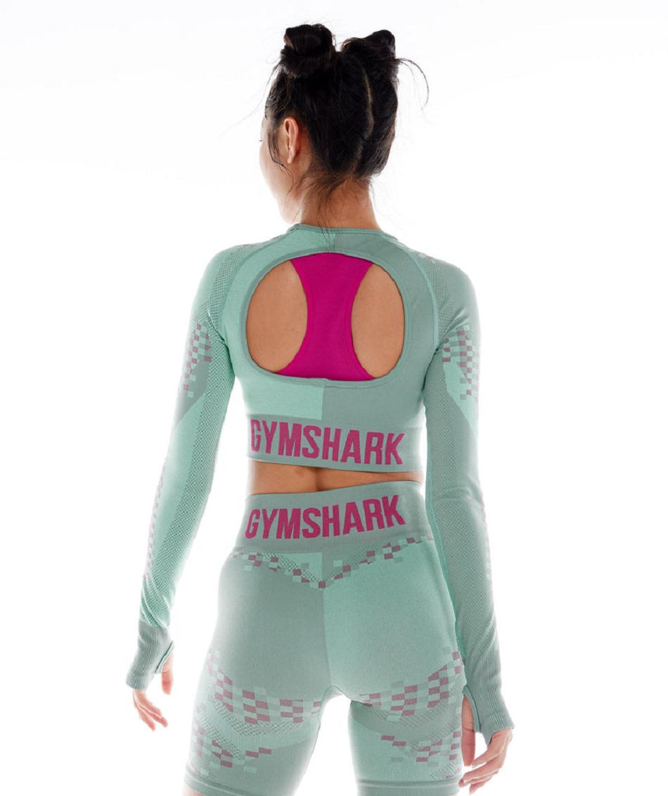 Gymshark Wtflex Cyborg Seamless Ženske Dugi Rukav Plave Roze Plave | HR 3495NWY